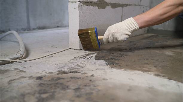 Top rated local Wet Basement Repair specialists in Custer, MI